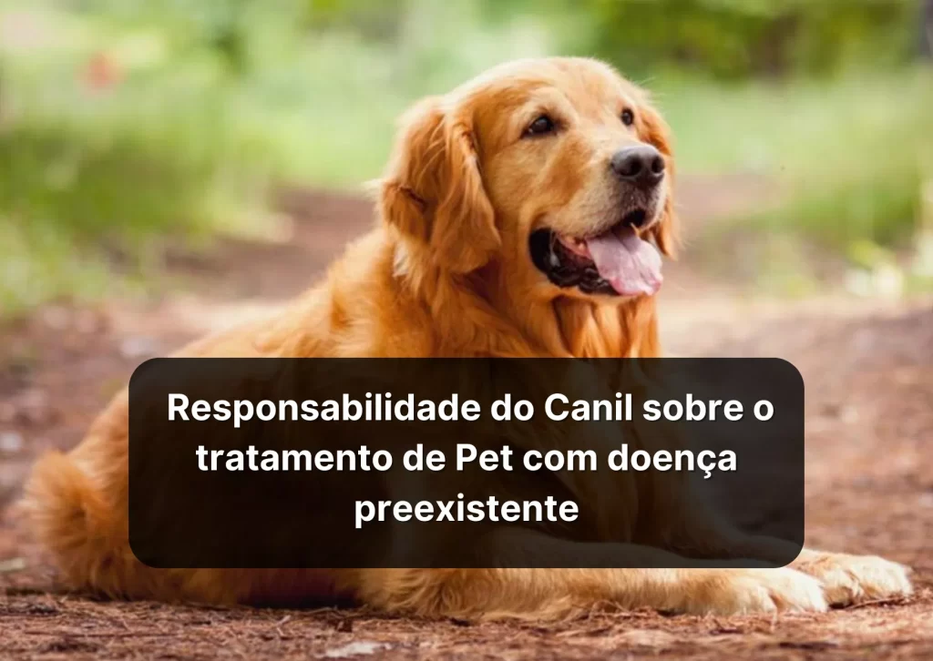 cachorro com doença preexistente